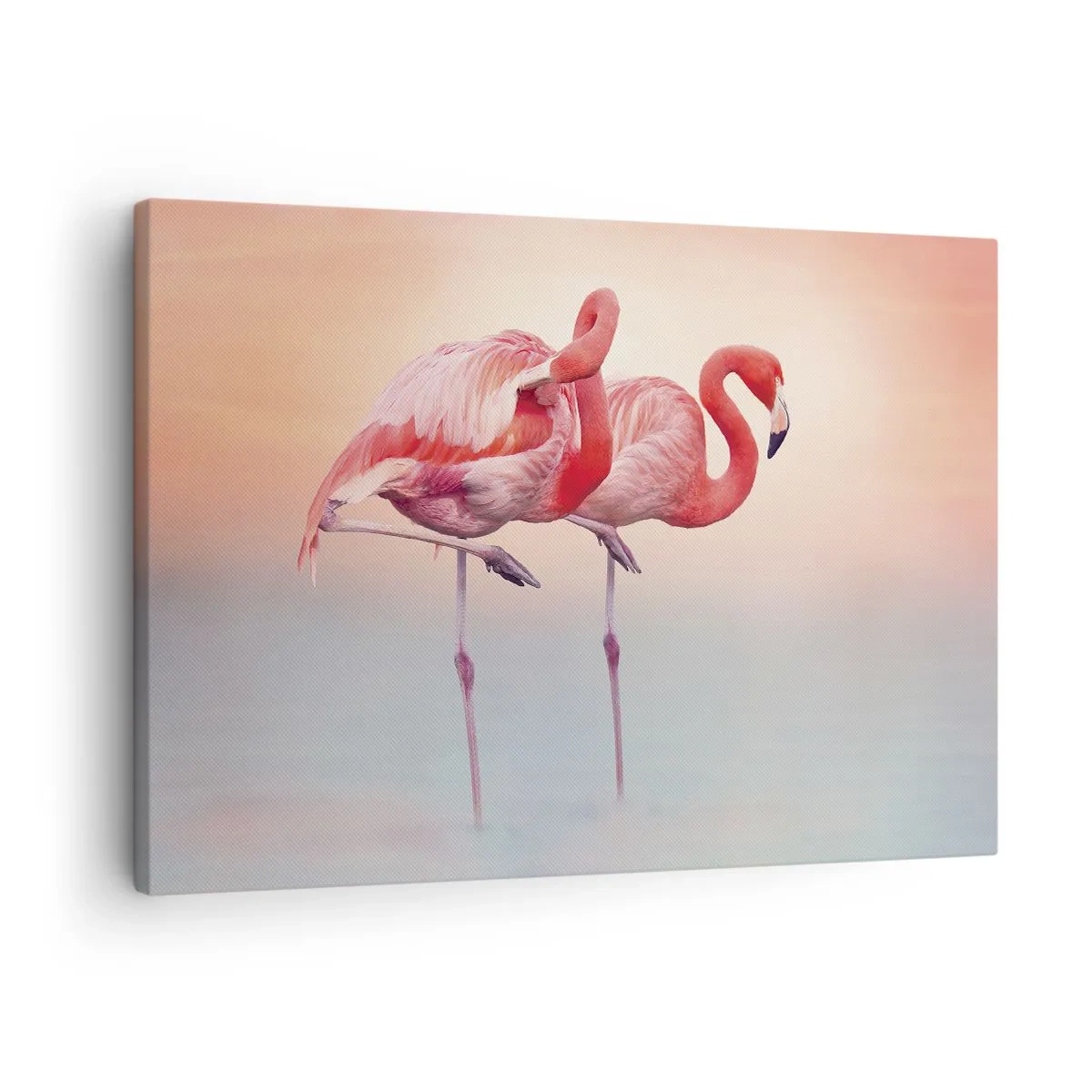 Canvastavla - Bild på duk - Flamingos i delikata pastellfärger mot en vattenbakgrund - 70x50cm - I solnedgångens färg - Modern väggdekoration för vardagsrum och sovrum ARTTOR