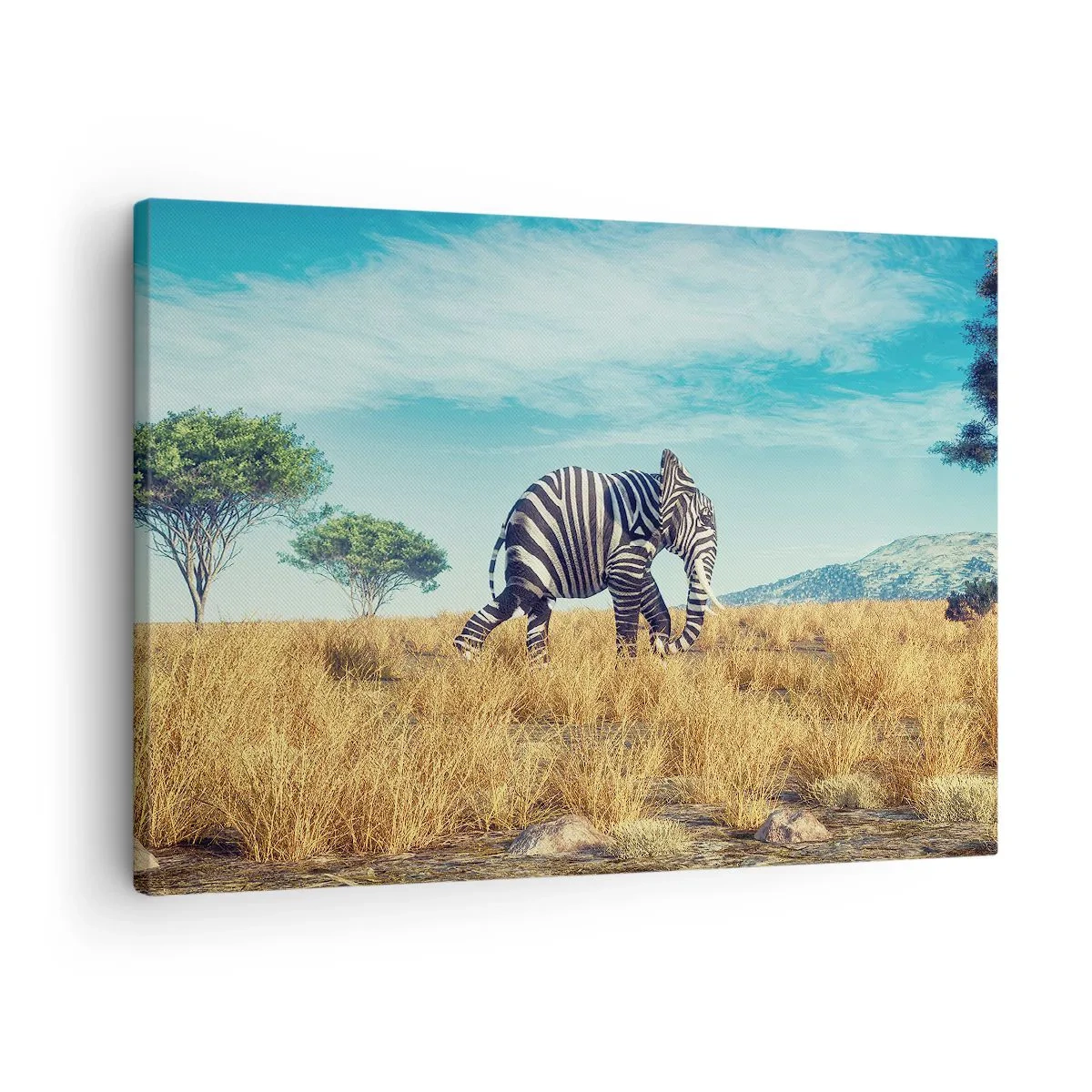 Canvastavla - Bild på duk - Zebra i ett afrikanskt landskap - 70x50cm - Grått är ute - Modern väggdekoration för vardagsrum och sovrum ARTTOR