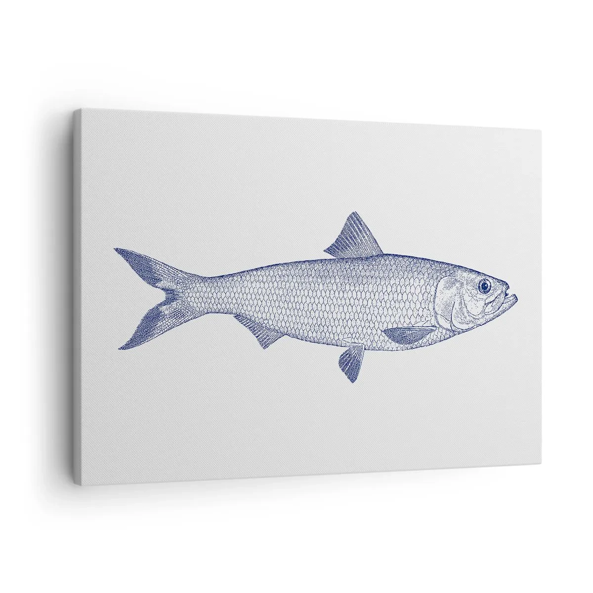 Canvastavla - Bild på duk - Illustration av en fisk i nyanser av blått mot en ljus bakgrund - 70x50cm - Hälsningar från de nordliga haven - Modern väggdekoration för vardagsrum och sovrum ARTTOR