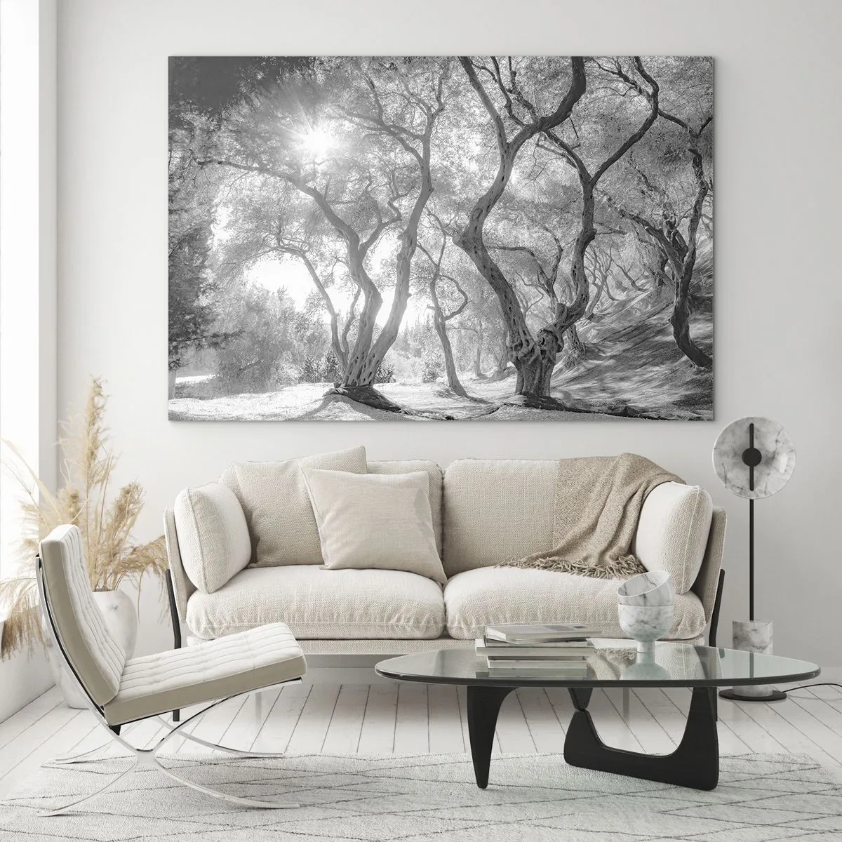 Glastavla - Bild på glas - Svarta och vita olivträd i solljus - 70x50cm - I en olivlund - Modern väggdekoration för vardagsrum och sovrum ARTTOR