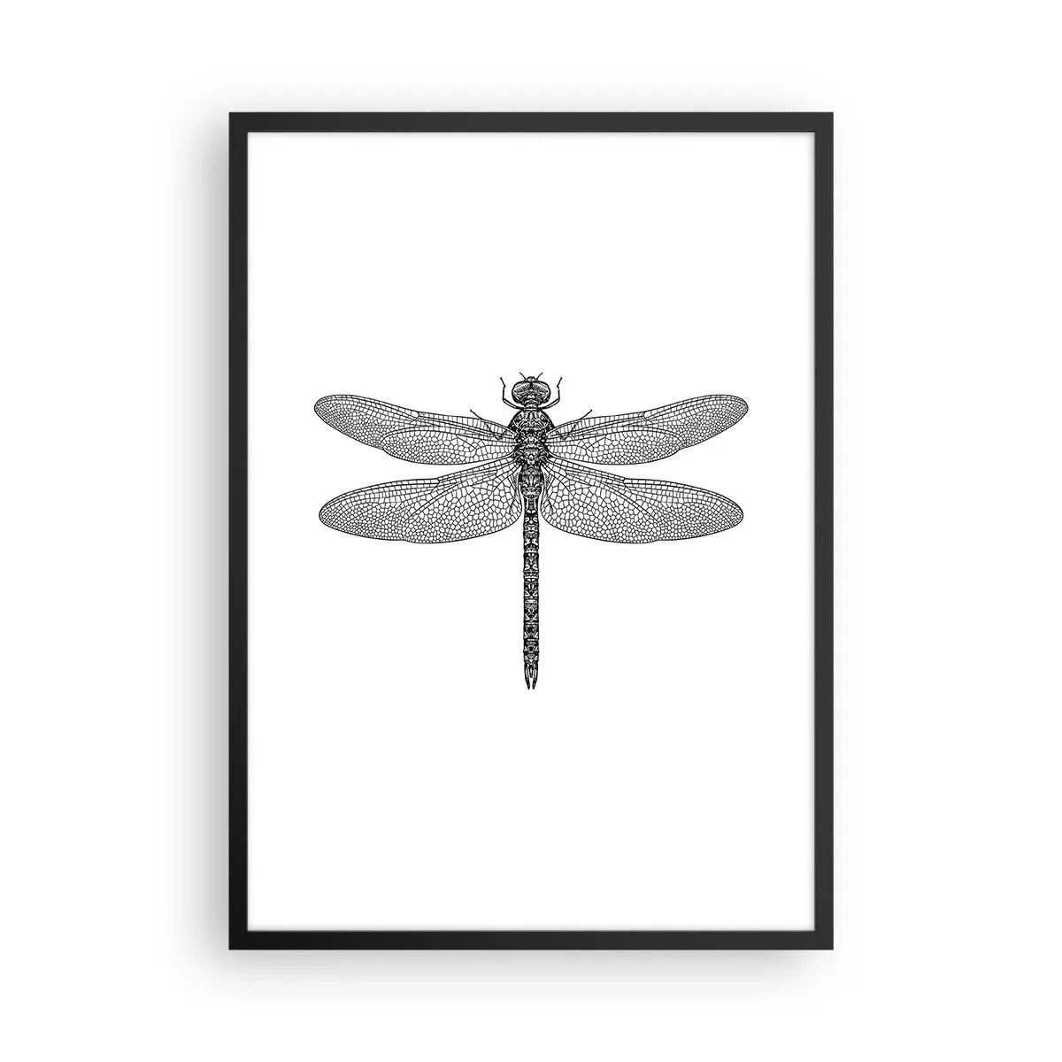Affisch i svart ram - Svartvit illustration av en trollslända på vit bakgrund - 50x70cm - Precision i naturen - Modern väggdekoration för vardagsrum och sovrum ARTTOR