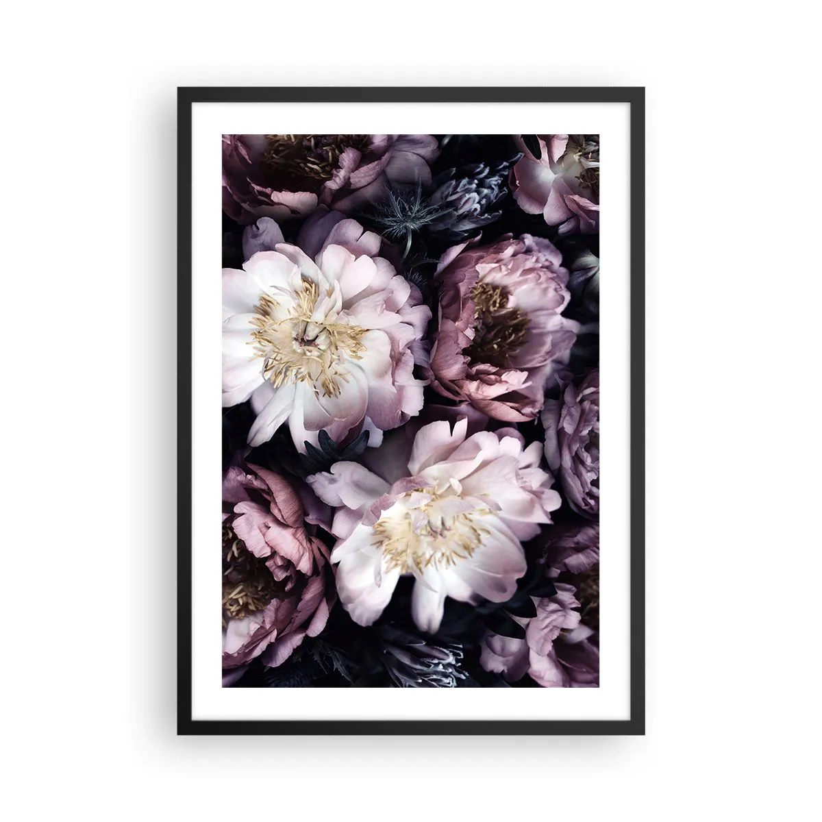 Affisch i svart ram - Fina pionblommor i dämpade färger - 50x70cm - En bukett i gammal stil - Modern väggdekoration för vardagsrum och sovrum ARTTOR