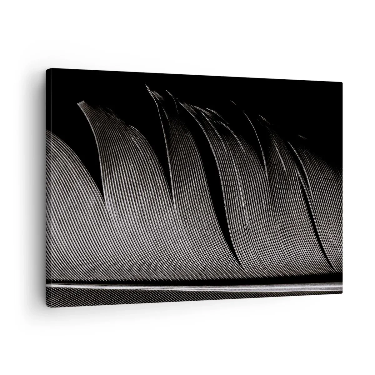 Canvastavla - Bild på duk - Svartvit fjäderstruktur i minimalistisk stil - 70x50cm - Fjäder - en underbar konstruktion - Modern väggdekoration för vardagsrum och sovrum ARTTOR