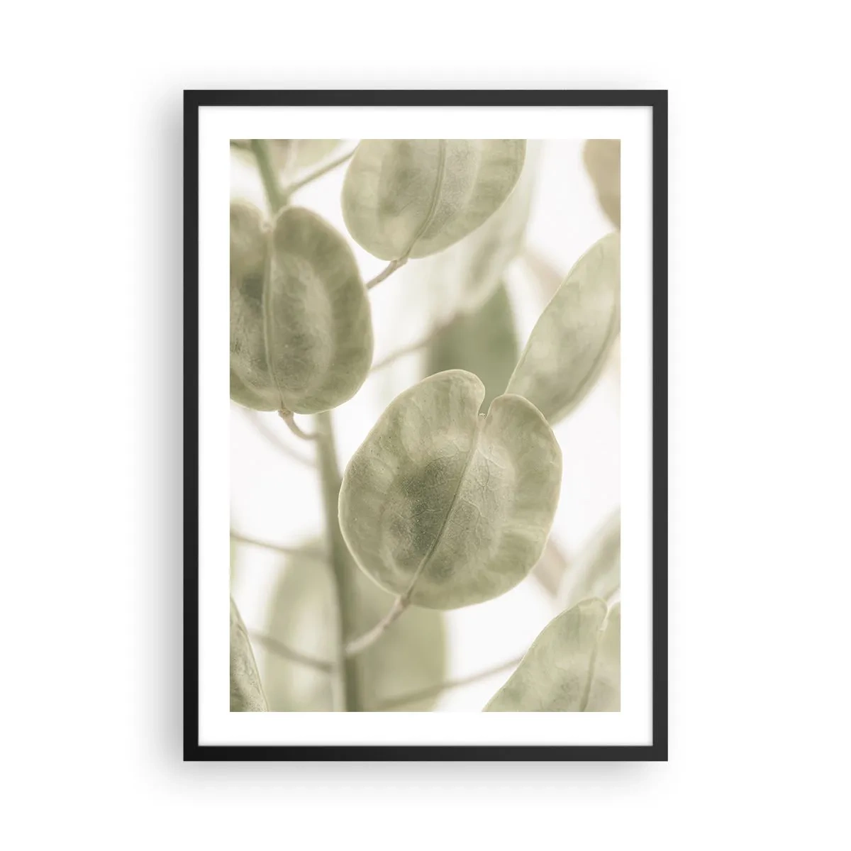 Affisch i svart ram - Närbild av gröna blad i naturligt ljus - 50x70cm - I början fanns det löv... - Modern väggdekoration för vardagsrum och sovrum ARTTOR