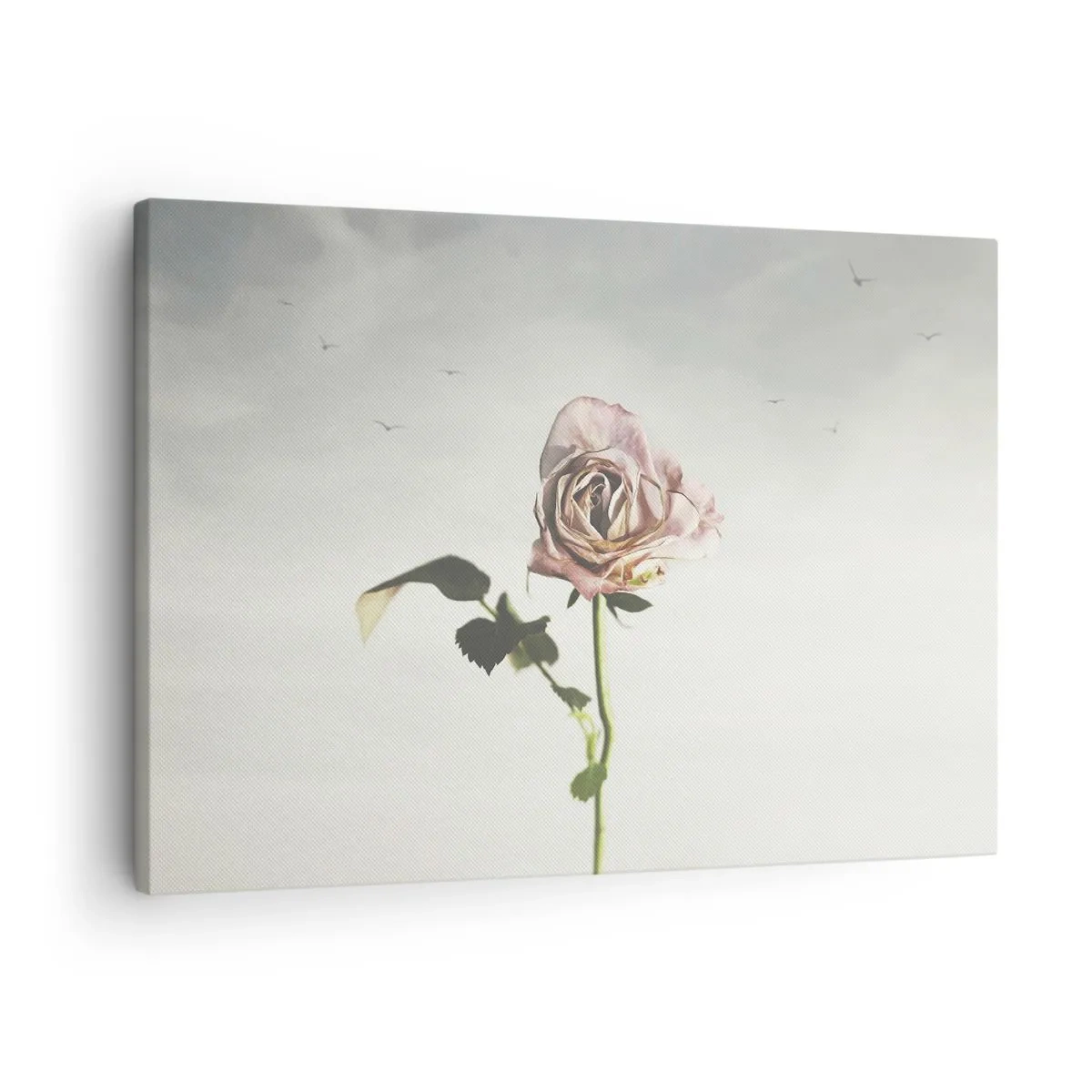 Canvastavla - Bild på duk - En delikat ros mot en ljus himmel med flygande fåglar - 70x50cm - Vårens välkomst - Modern väggdekoration för vardagsrum och sovrum ARTTOR