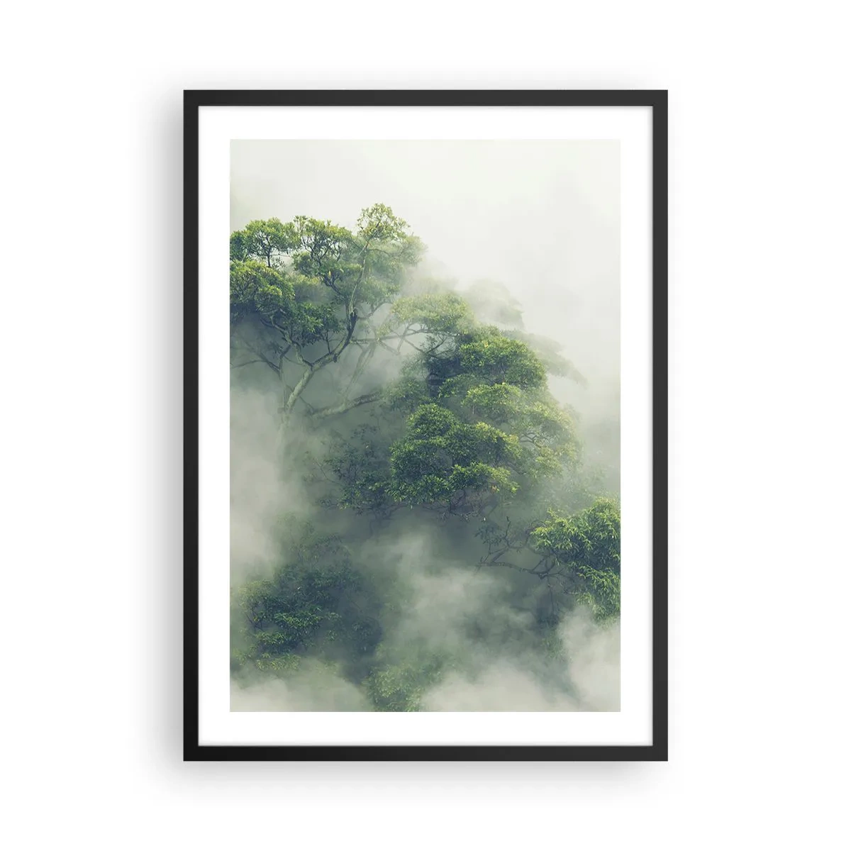Affisch i svart ram - Gröna trädtoppar gömda i tjock, mystisk dimma - 50x70cm - Insvept i dimma - Modern väggdekoration för vardagsrum och sovrum ARTTOR