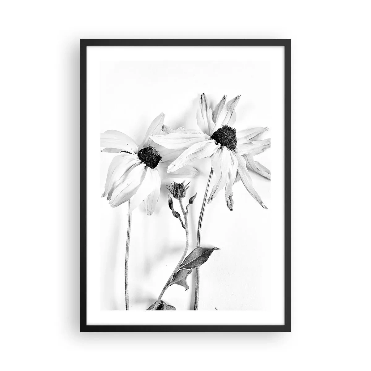 Affisch i svart ram - Svartvita blommor i minimalistisk stil mot ljus bakgrund - 50x70cm - Ingen vill vara ensam - Modern väggdekoration för vardagsrum och sovrum ARTTOR