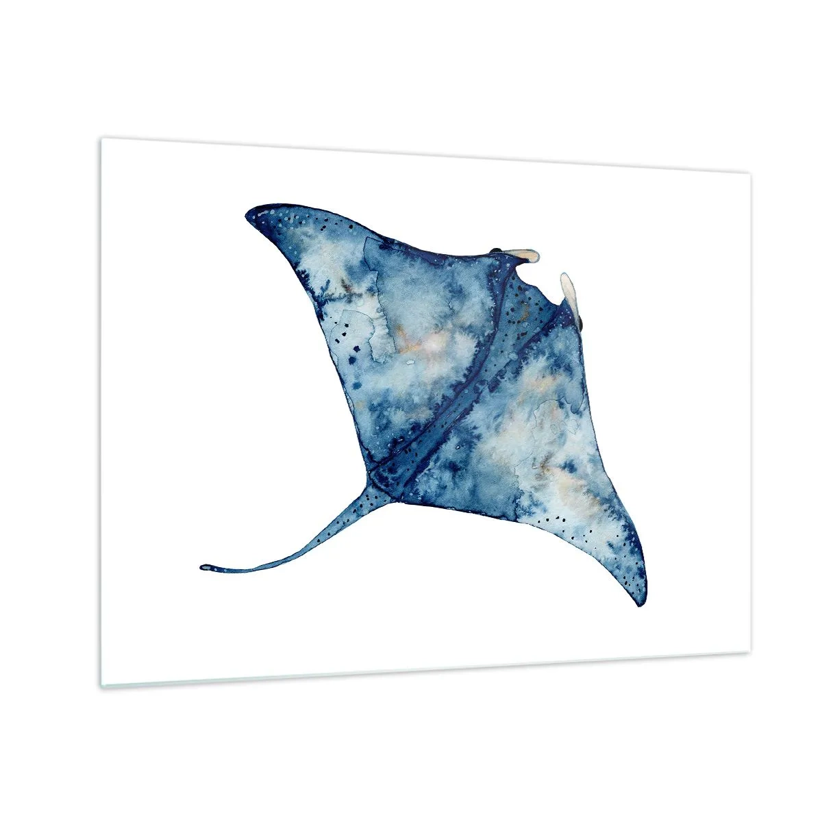 Glastavla - Bild på glas - Marinblå stråle i akvarellstil på vit bakgrund - 70x50cm - Liv i blått - Modern väggdekoration för vardagsrum och sovrum ARTTOR