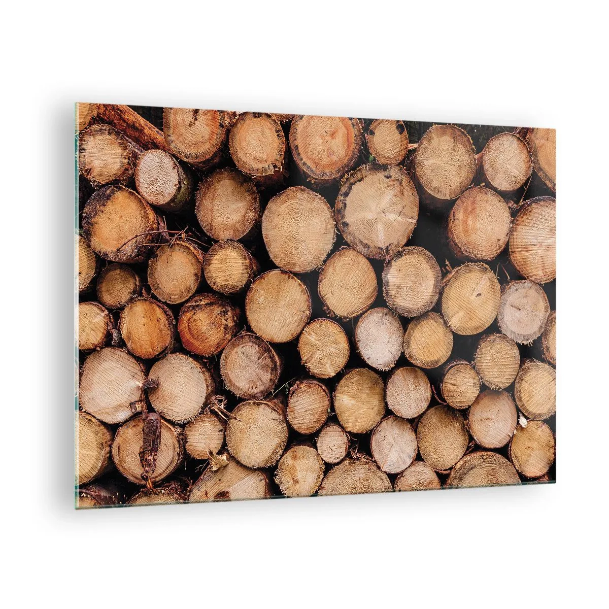 Glastavla - Bild på glas - Vertikalt arrangerade trädstammar med synliga tillväxtringar - 70x50cm - Ny början - Modern väggdekoration för vardagsrum och sovrum ARTTOR