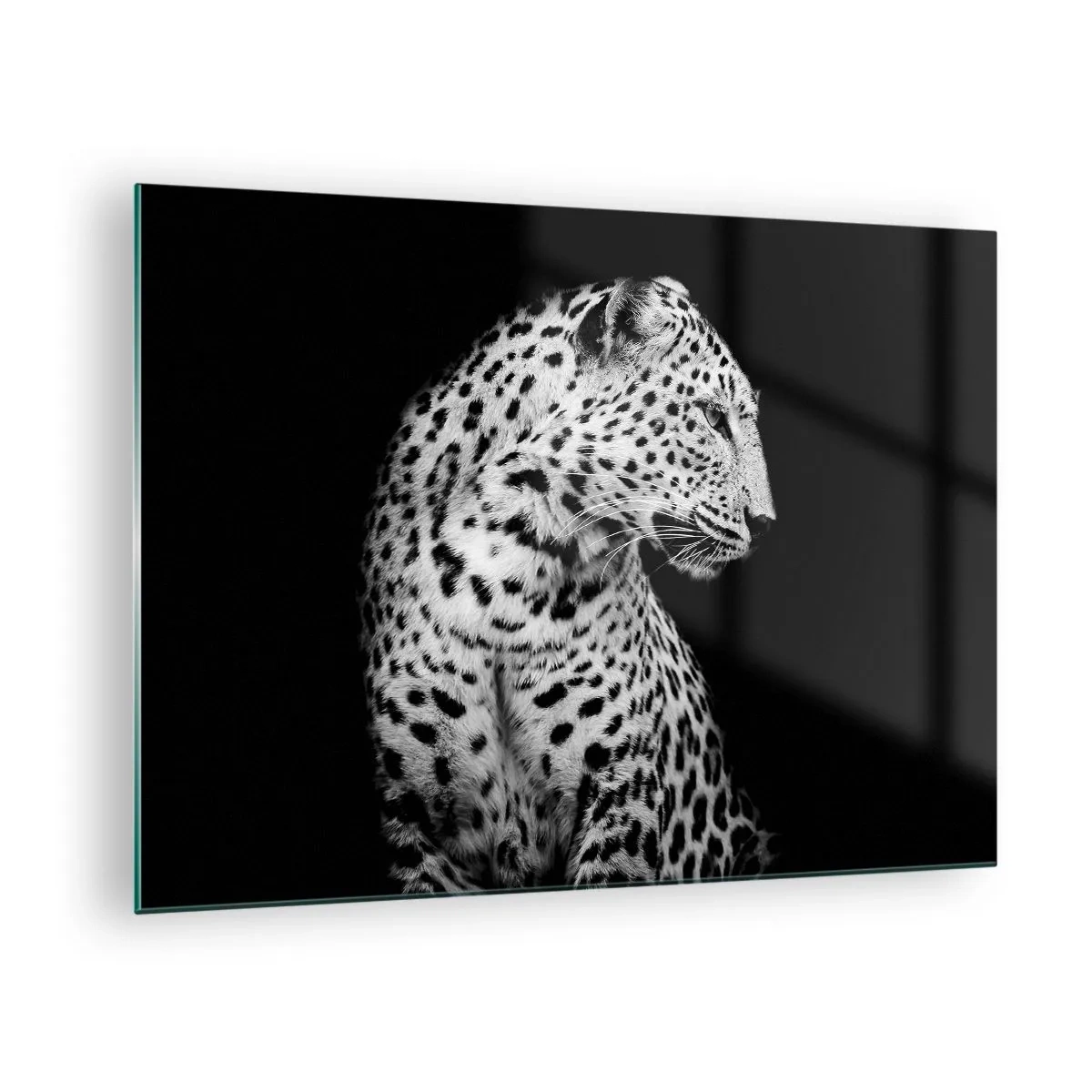 Glastavla - Bild på glas - En leopard i svartvitt ljus mot ett fönster - 70x50cm - Perfekt höger profil! - Modern väggdekoration för vardagsrum och sovrum ARTTOR