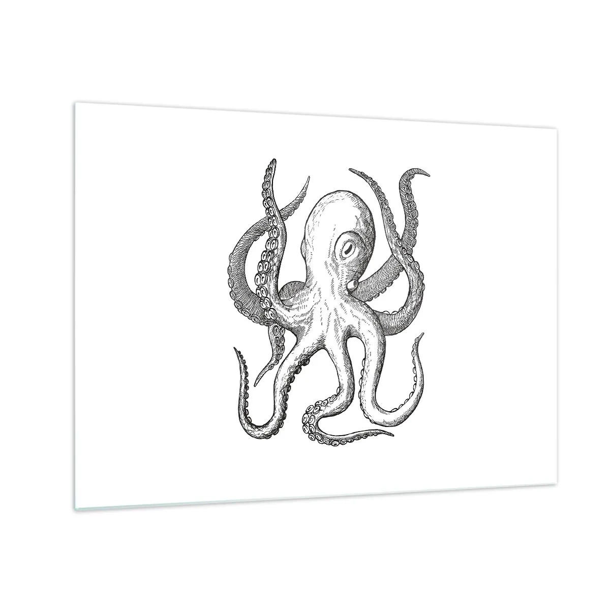 Glastavla - Bild på glas - Svartvit teckning av en bläckfisk mot en vit bakgrund - 70x50cm - Dansar med vågorna - Modern väggdekoration för vardagsrum och sovrum ARTTOR