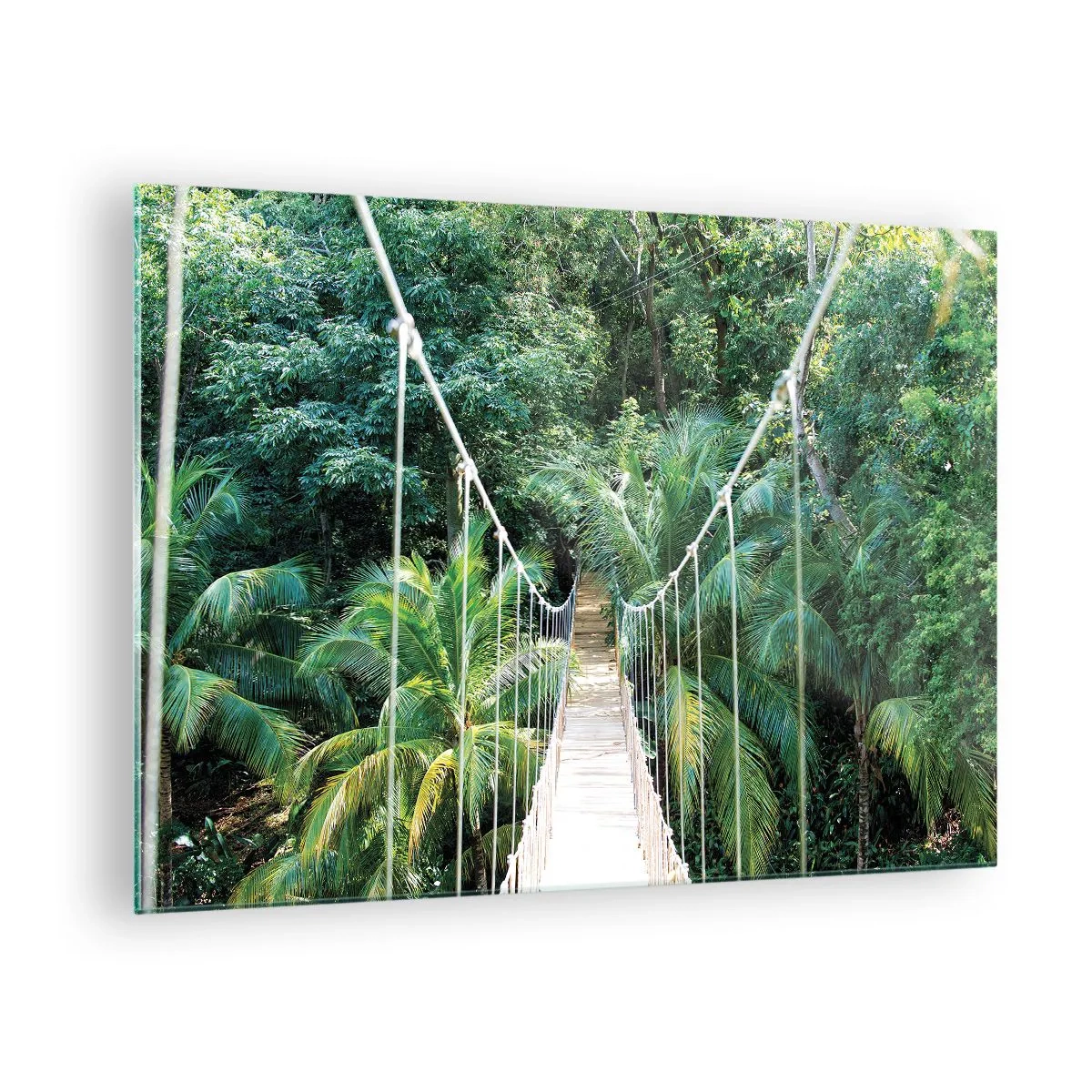 Glastavla - Bild på glas - Hängbro i en tropisk skog - 70x50cm - Welcome to the jungle! - Modern väggdekoration för vardagsrum och sovrum ARTTOR