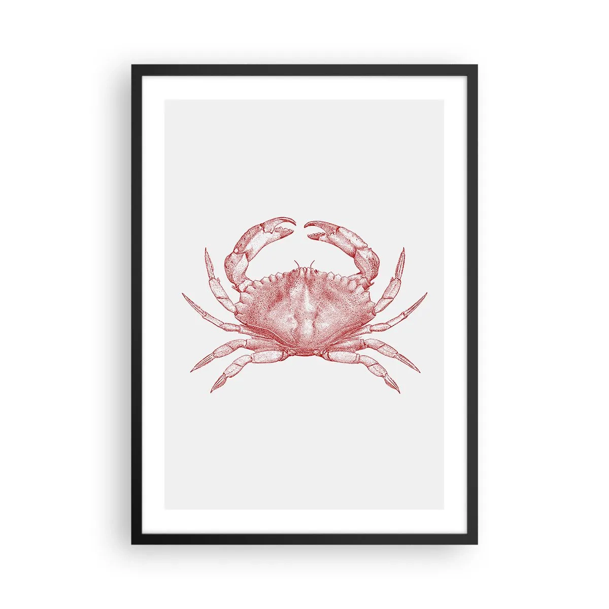 Affisch i svart ram - Vintage krabbateckning på en ljus bakgrund - 50x70cm - Krabba över krabbor - Modern väggdekoration för vardagsrum och sovrum ARTTOR