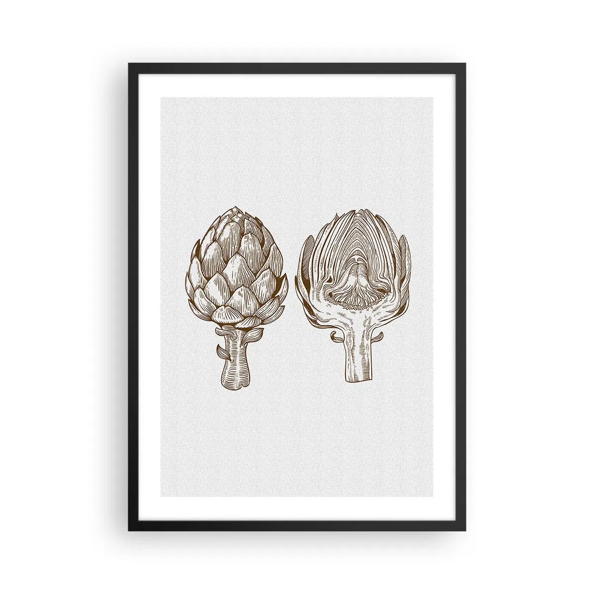 Affisch i svart ram - Vintageillustration av två kronärtskockor - 50x70cm - Anatomilektion - Modern väggdekoration för vardagsrum och sovrum ARTTOR