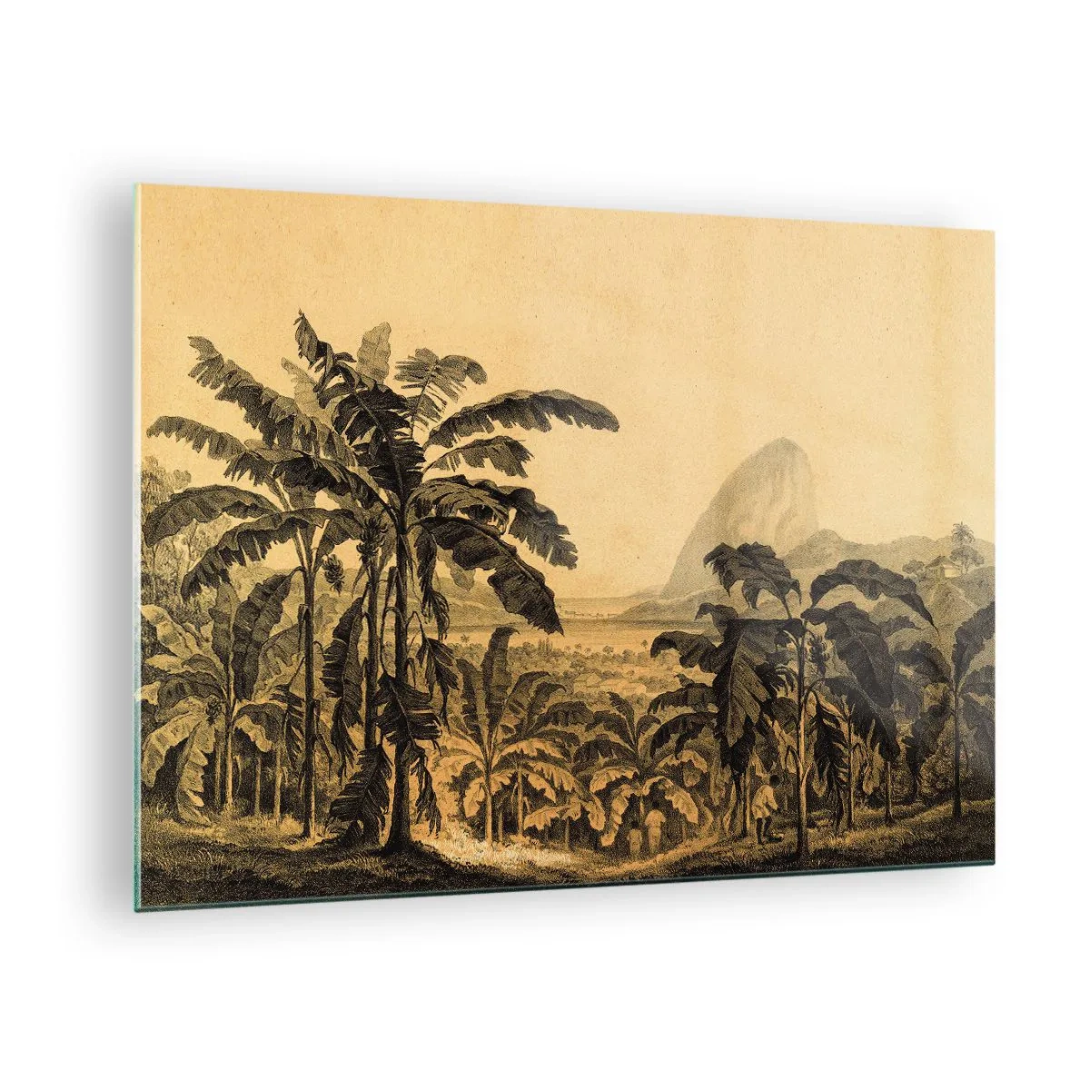 Glastavla - Bild på glas - En vintageillustration av en bananplantage med ett avlägset berg i bakgrunden. - 70x50cm - I kolonial stämning - Modern väggdekoration för vardagsrum och sovrum ARTTOR