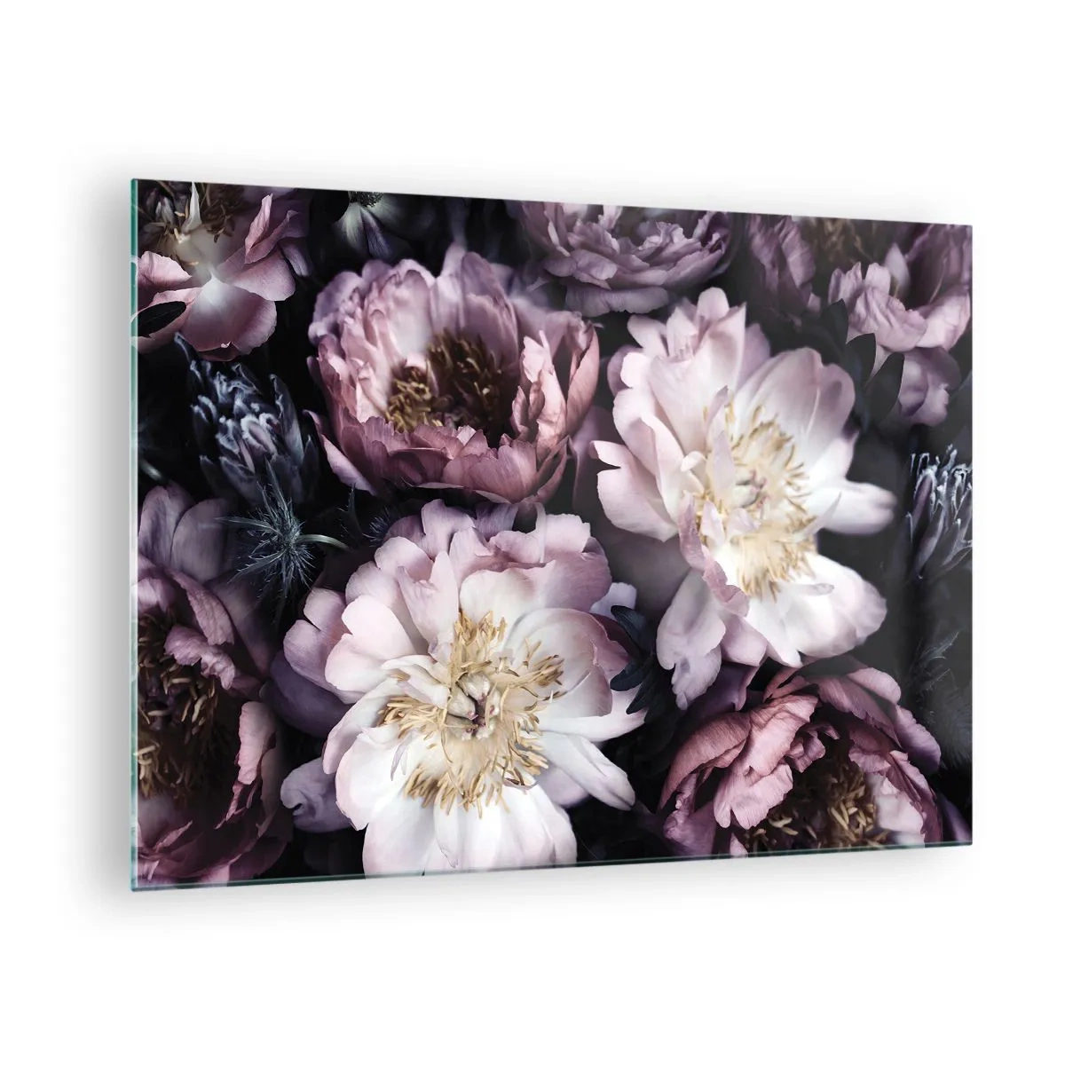 Glastavla - Bild på glas - En romantisk bukett pioner i dämpade lila och rosa nyanser - 70x50cm - En bukett i gammal stil - Modern väggdekoration för vardagsrum och sovrum ARTTOR