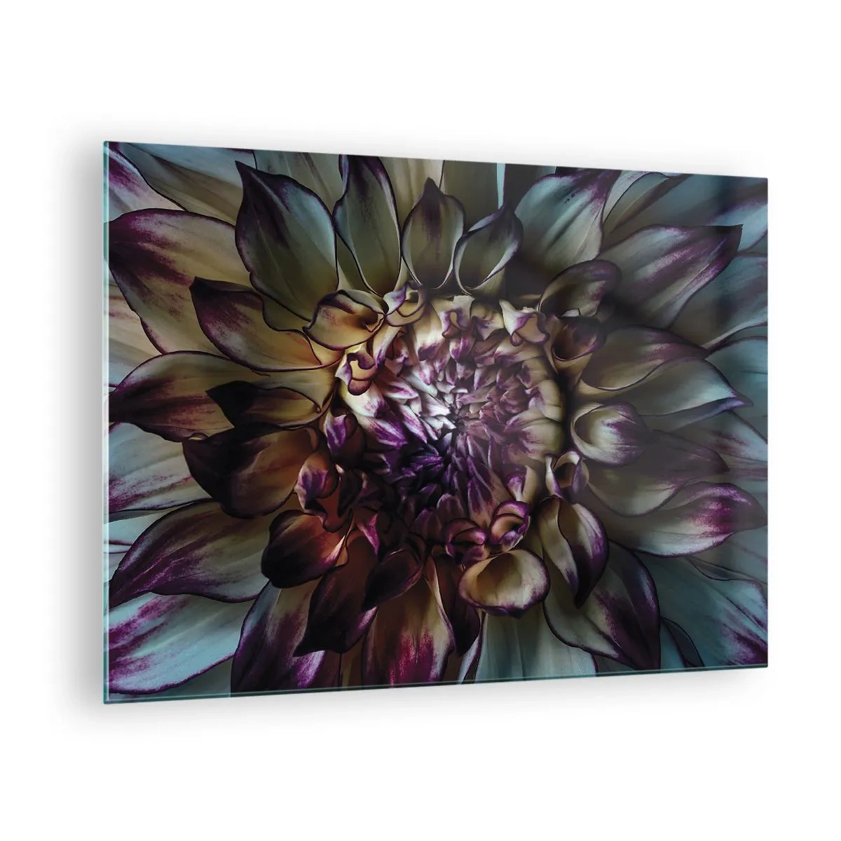 Glastavla - Bild på glas - Närbild av en blomma i en mörk färgpalett - 70x50cm - Blommande ungdom - Modern väggdekoration för vardagsrum och sovrum ARTTOR